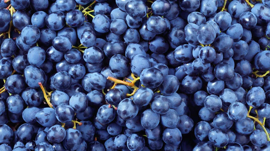 Resveratrol: Antioxidantul puternic pentru sănătate și longevitate