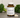 Sulforafanul: antioxidantul care te stresează (spre binele tău)